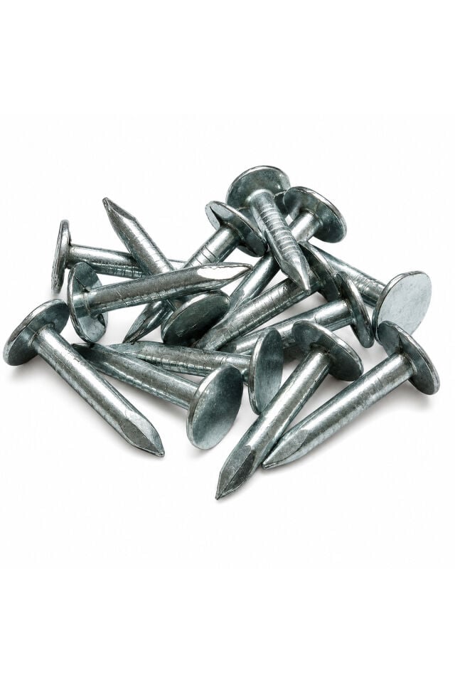 Sargona Şıngıl Çivisi 2,5 Cm 2,5 Kg Kutu